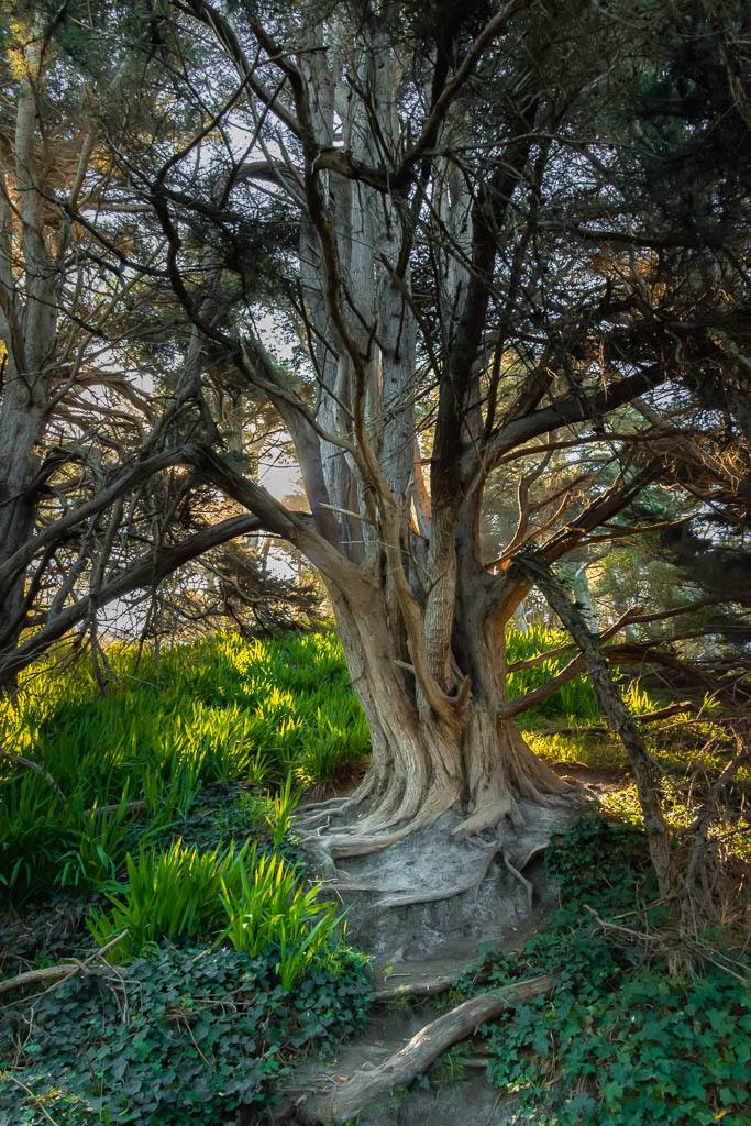 Environment — conservation photography by Rebecca Bennett